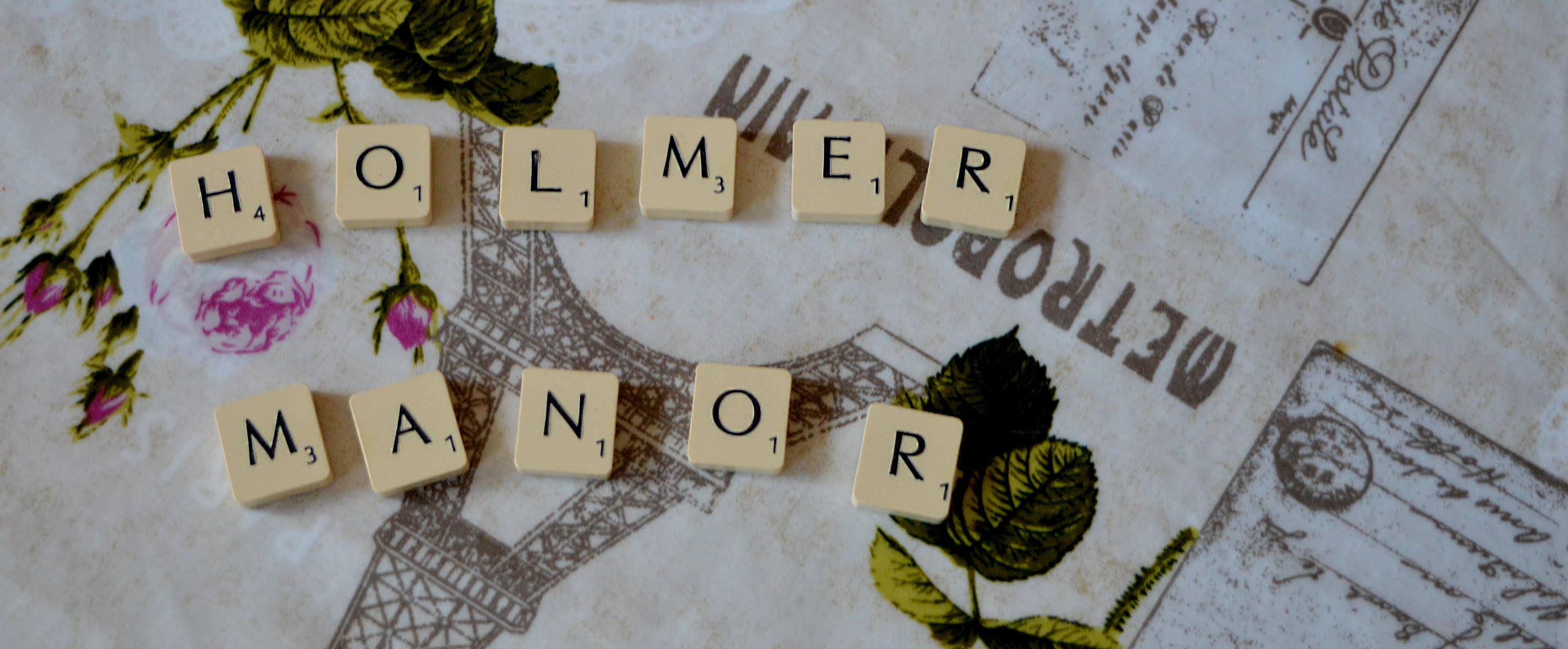 Holmer Manor nursing home in Herefordshire care services banner